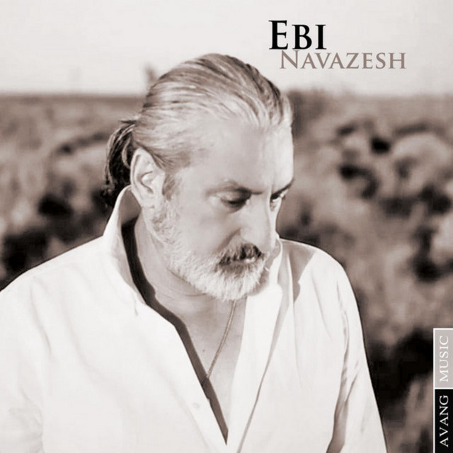 کاور آهنگ نوازش از ابی