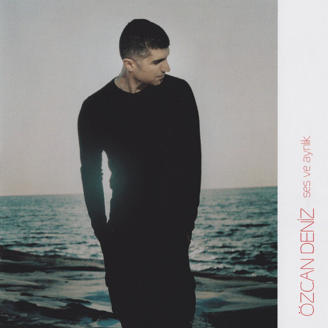 کاور آهنگ Olmadı از Ozcan Deniz