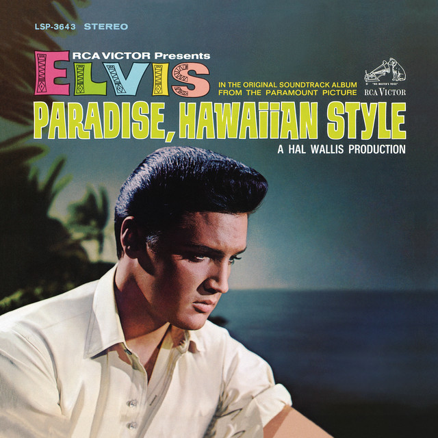 کاور آهنگ Stop Where You Are از Elvis Presley