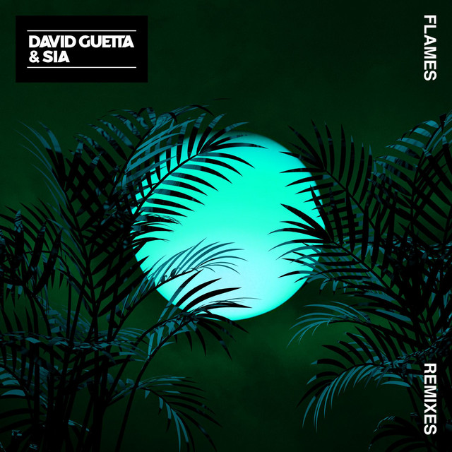 کاور آهنگ Flames - Robin Schulz Remix از David Guetta, Robin Schulz, Sia