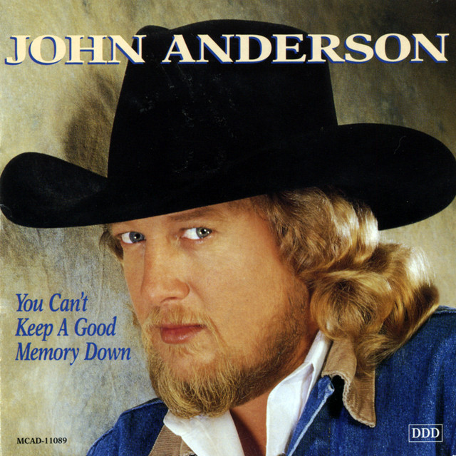 کاور آهنگ Down In The Orange Grove از John Anderson