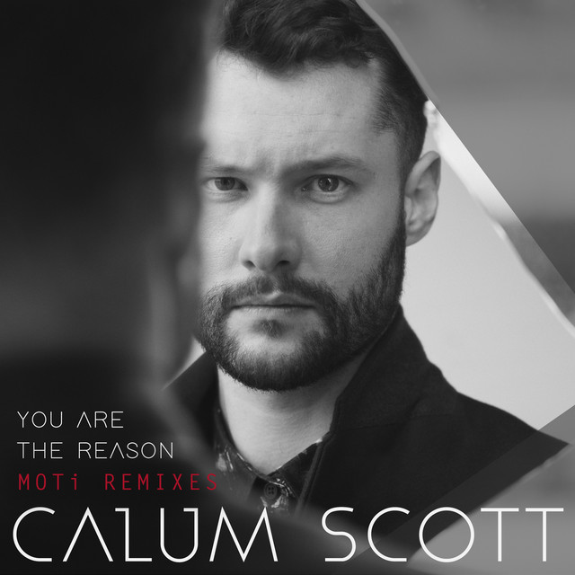 کاور آهنگ You Are The Reason - MOTi Extended Remix از MOTi, Calum Scott