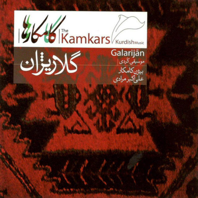 کاور آهنگ ای دل می‌زنی؟ از علی اکبر مرادی, بیژن کامکار