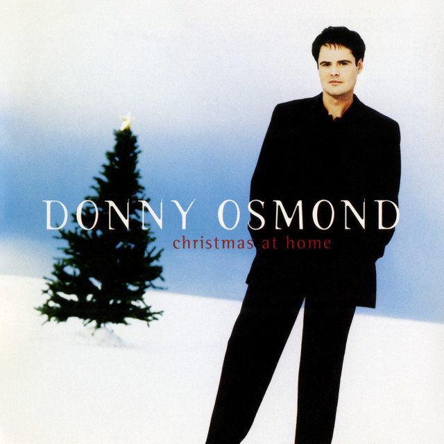 کاور آهنگ I've Been Looking For Christmas از Donny Osmond
