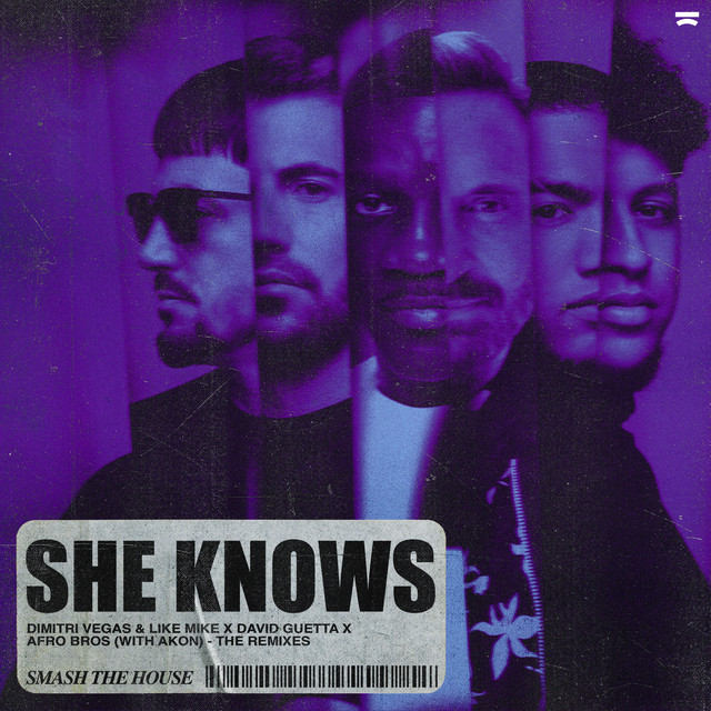کاور آهنگ She Knows (with Akon) - 3 Are Legend x MANDY Remix از David Guetta, Akon, Dimitri Vegas & Like Mike, MANDY, Afro Bros, 3 Are Legend