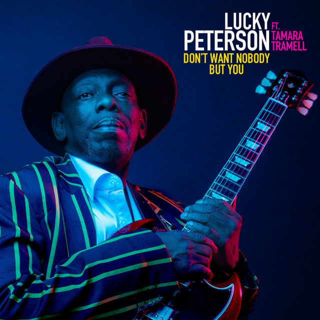 کاور آهنگ Don't Want Nobody But You از Lucky Peterson