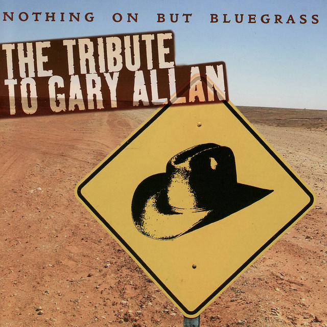 کاور آهنگ Best I Ever Had از Pickin' On Series