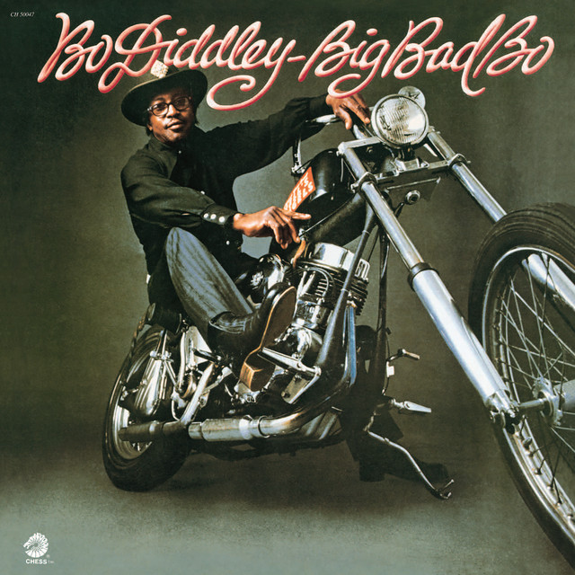 کاور آهنگ You've Got A Lot Of Nerve از Bo Diddley