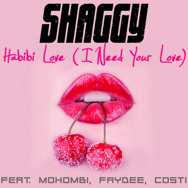 کاور آهنگ Habibi Love (I Need Your Love) (feat. Mohombi, Faydee & Costi) از Faydee, Mohombi, Costi, Shaggy