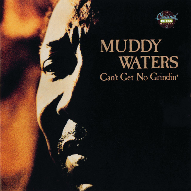 کاور آهنگ Mother's Bad Luck Child از Muddy Waters