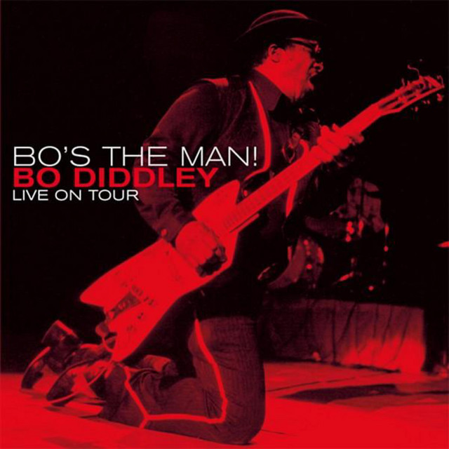 کاور آهنگ Doctor Jekyll (Live) از Bo Diddley