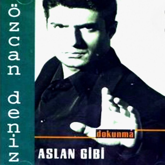 کاور آهنگ Gelesin از Ozcan Deniz