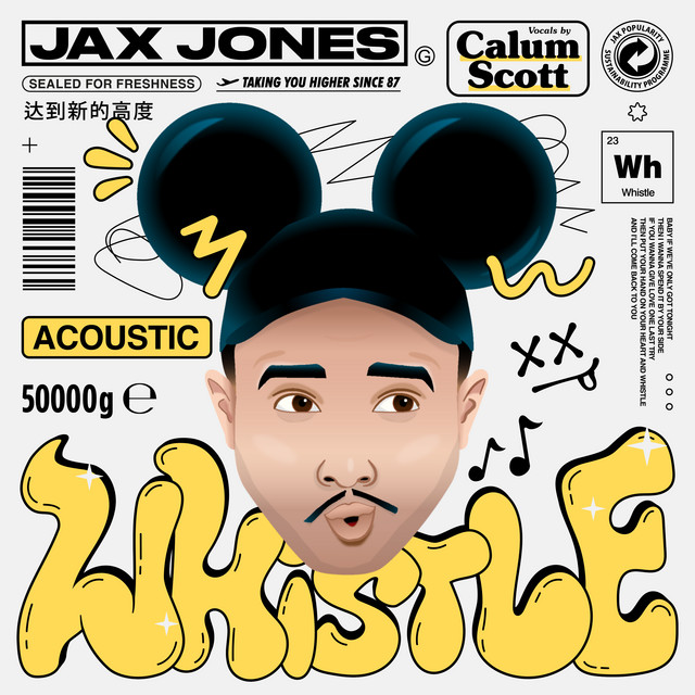 کاور آهنگ Whistle - Acoustic از Calum Scott, Jax Jones