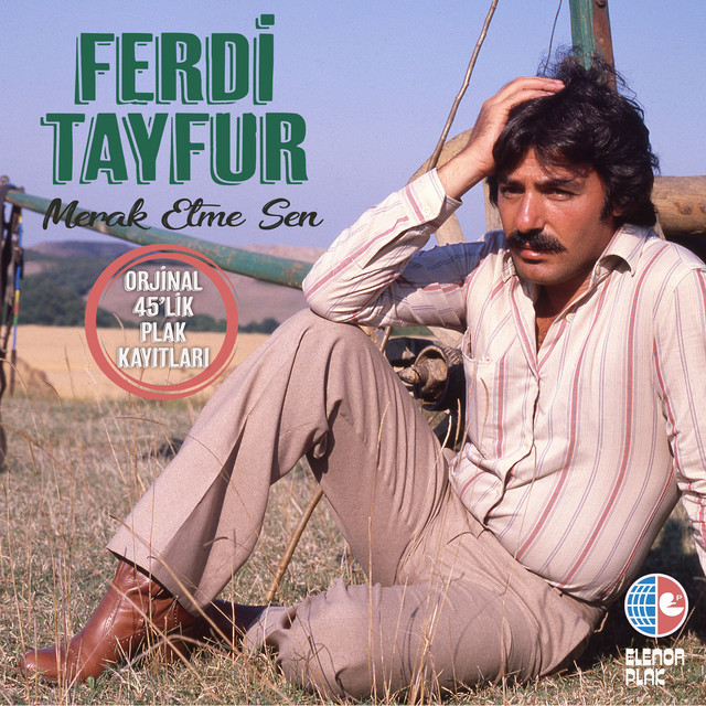 کاور آهنگ Alıştım - 2022 Remastered Version از Ferdi Tayfur