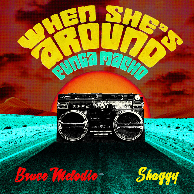 کاور آهنگ When She's Around (Funga Macho) از Shaggy