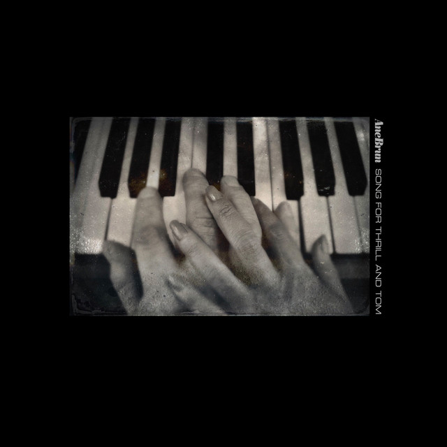 کاور آهنگ Song for Thrill and Tom از Ane Brun