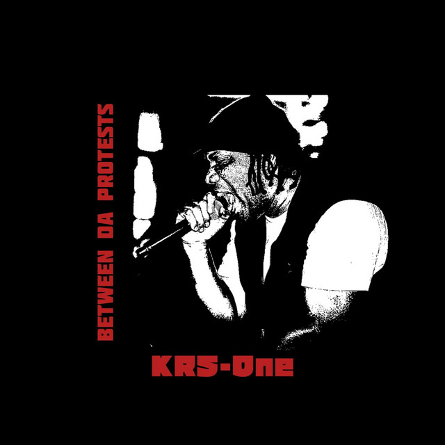 کاور آهنگ Boom Bye Bye از KRS-One