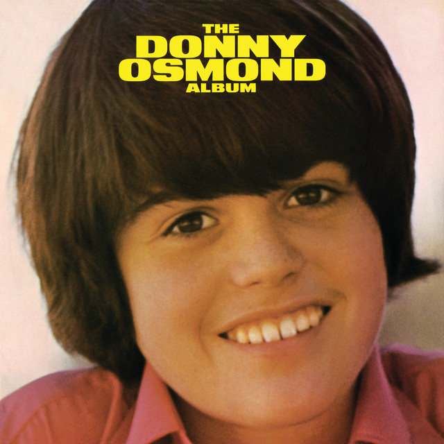 کاور آهنگ Burning Bridges از Donny Osmond