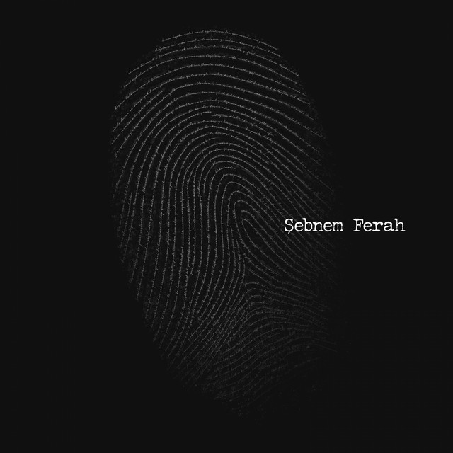 کاور آهنگ Vicdan از Sebnem Ferah