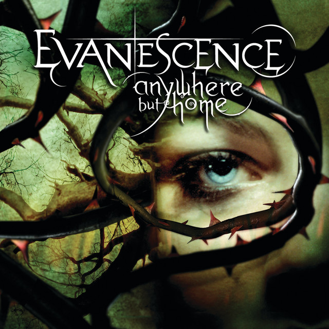 کاور آهنگ Tourniquet - Live From Le Zénith,France/2004 از Evanescence
