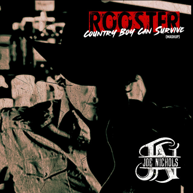 کاور آهنگ Rooster / Country Boy Can Survive - Mashup از Joe Nichols
