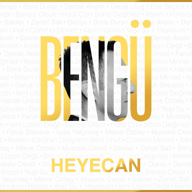 کاور آهنگ Heyecan از Bengu