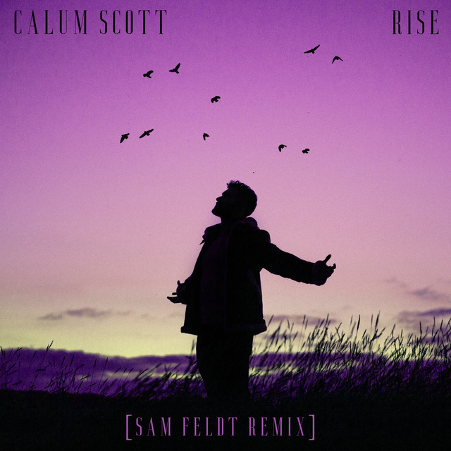کاور آهنگ Rise (Sam Feldt Remix) از Sam Feldt, Calum Scott