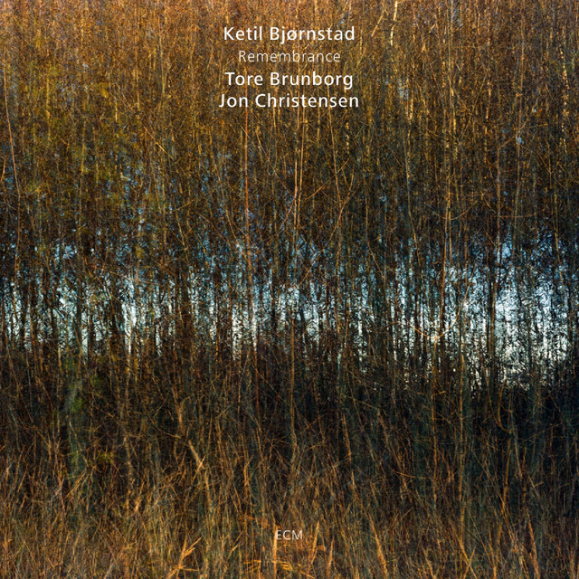 کاور آهنگ Remembrance XI از Jon Christensen