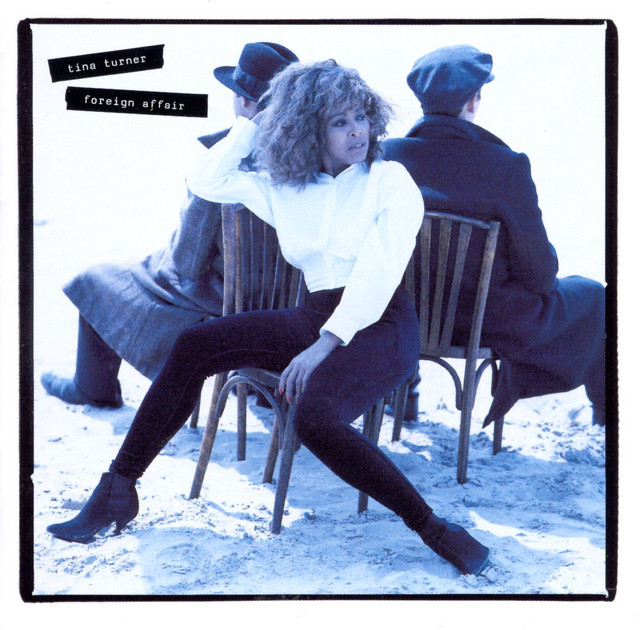 کاور آهنگ I Don't Wanna Lose You از Tina Turner