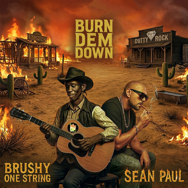 کاور آهنگ Burn Dem Down از Sean Paul