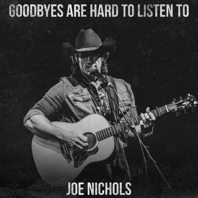 کاور آهنگ Goodbyes Are Hard to Listen To از Joe Nichols