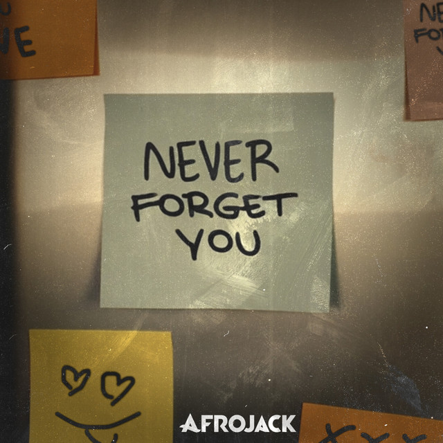 کاور آهنگ Never Forget You از AFROJACK
