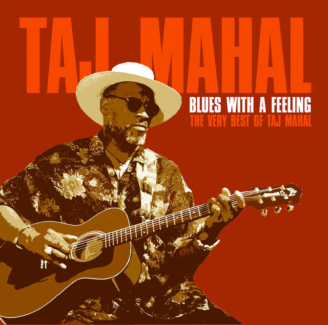 کاور آهنگ Don't Call Us از Taj Mahal