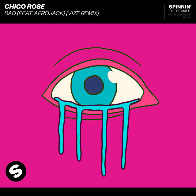 کاور آهنگ Sad (feat. Afrojack) - VIZE Remix از AFROJACK, VIZE, Chico Rose