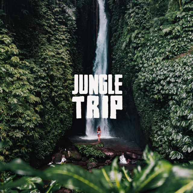 کاور آهنگ Jungle Trip از Padre Toxico