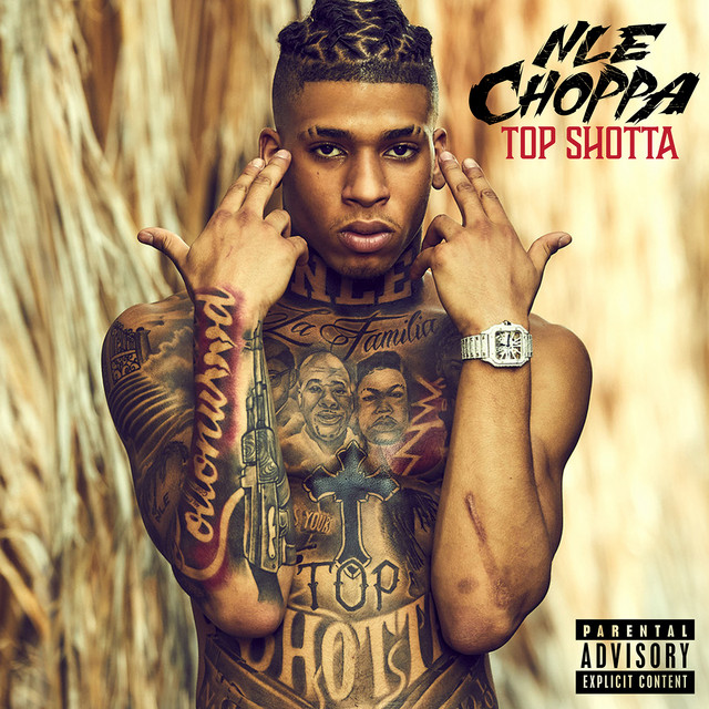 کاور آهنگ Watch Out for the Narcs از NLE Choppa