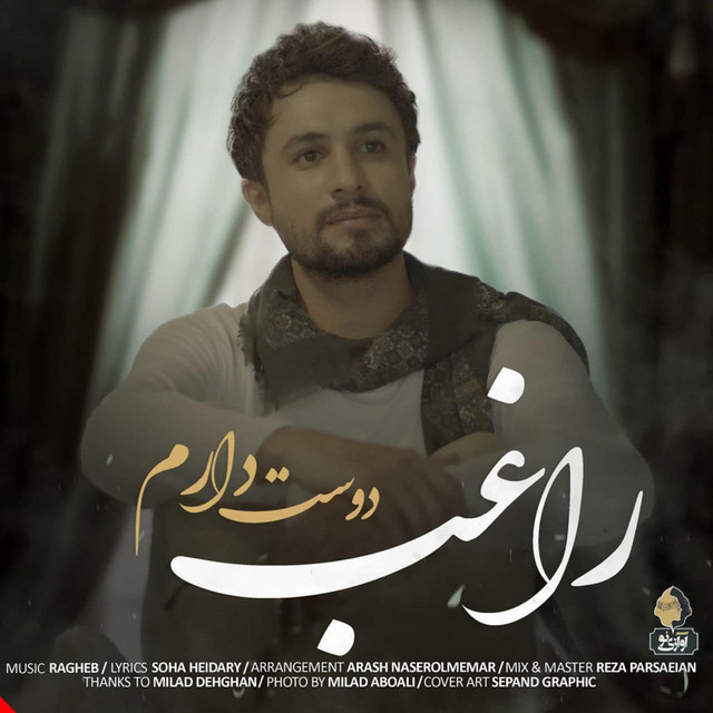 کاور آهنگ دوستت دارم از راغب