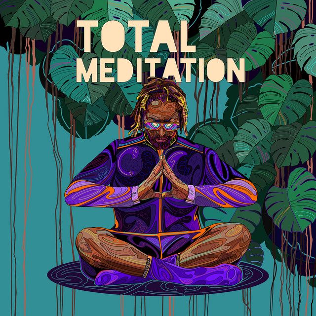 کاور آهنگ Feel Gratitude از Lil Jon