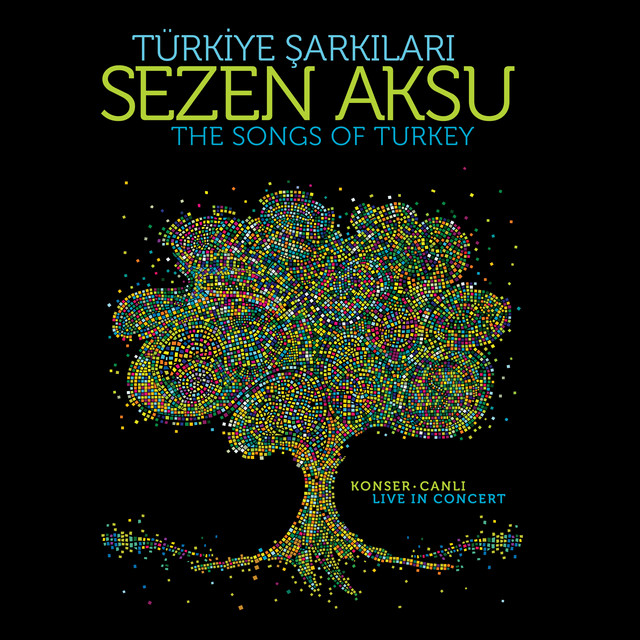 کاور آهنگ Sen Aglama - Canli از Sezen Aksu
