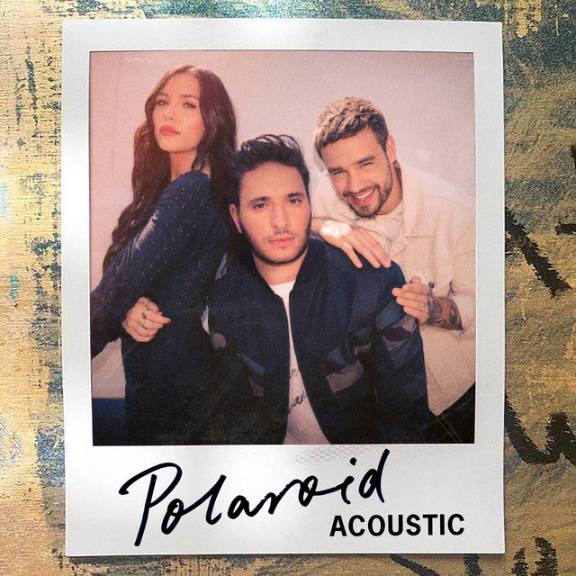 کاور آهنگ Polaroid - Acoustic از Liam Payne, Jonas Blue, Lennon Stella