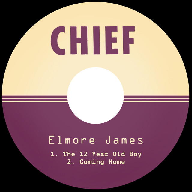 کاور آهنگ Coming Home از Elmore James