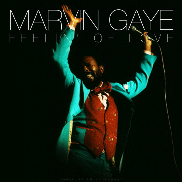 کاور آهنگ Mercy Mercy Me - Live 1976 از Marvin Gaye