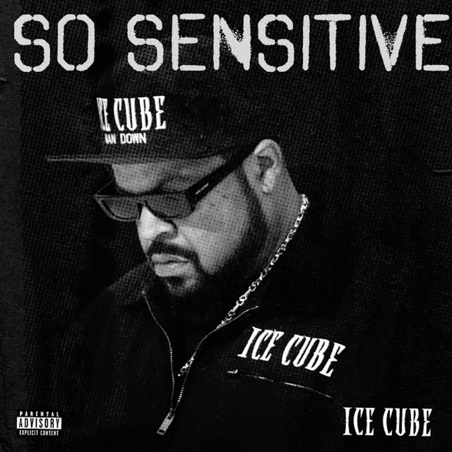 کاور آهنگ So Sensitive از Ice Cube