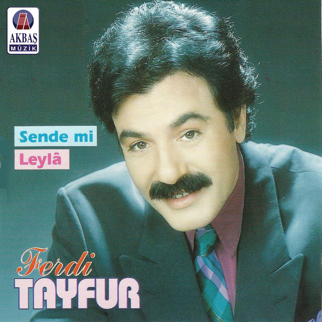 کاور آهنگ Seni Düşünüyorum از Ferdi Tayfur
