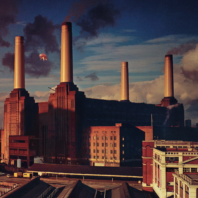 کاور آهنگ Dogs از Pink Floyd