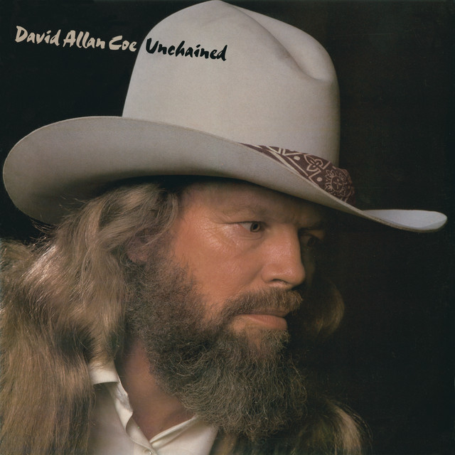 کاور آهنگ Southern Man از David Allan Coe