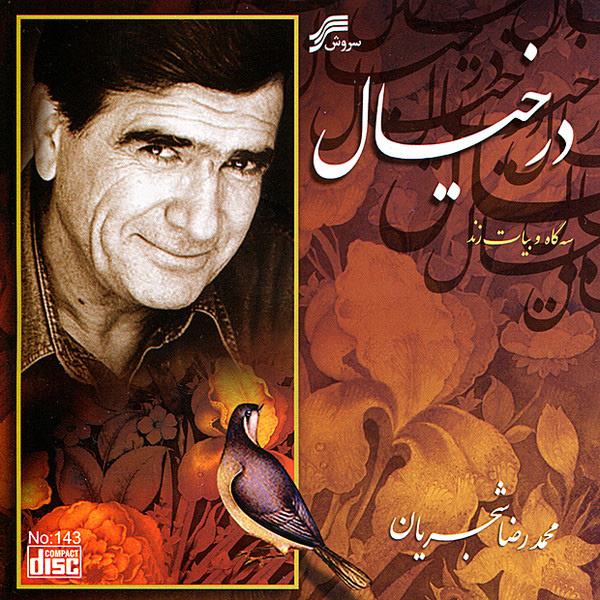 کاور آهنگ چهارمضراب شکسته از مجید درخشانی, محمدرضا شجریان