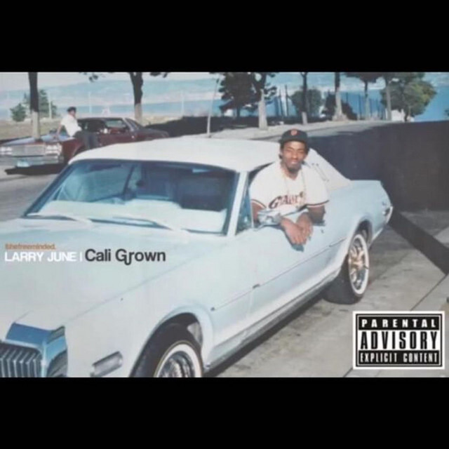 کاور آهنگ Swishers (feat. Mitchy Slick) از Larry June