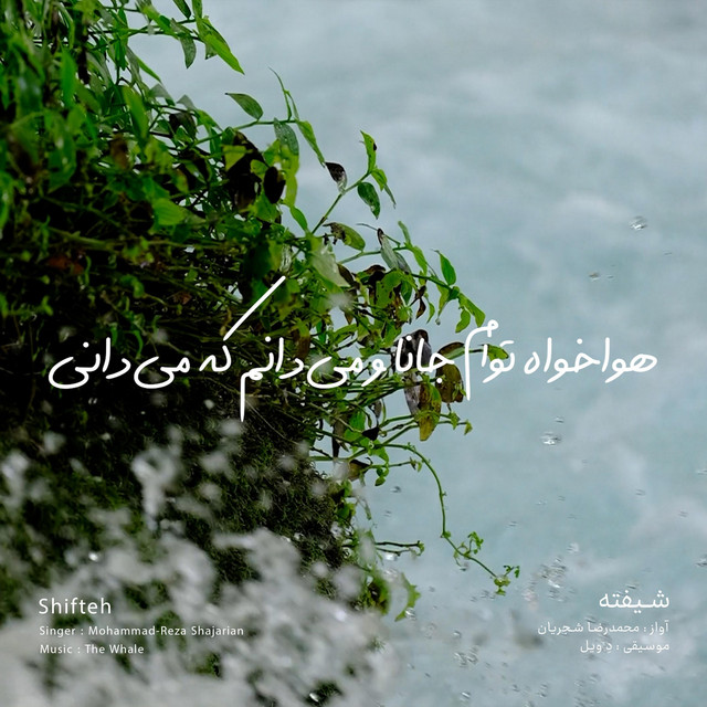 کاور آهنگ شیفته - بازآفرینی اثر محمدرضا شجریان از دِ وِیل