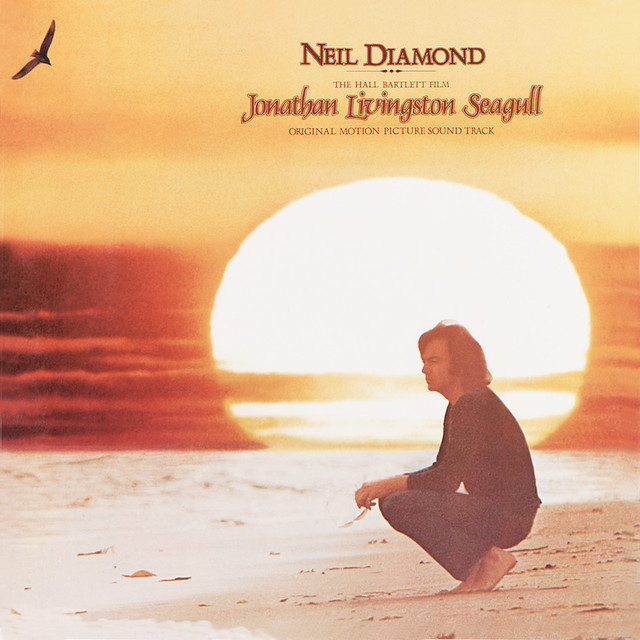 کاور آهنگ Flight Of The Gull از Neil Diamond